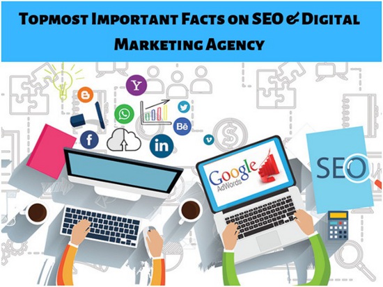 Some Facts About SEO Agency